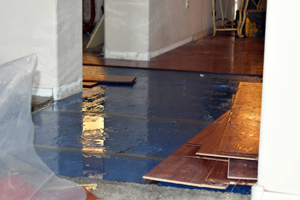 Professional Water Damage technician working in Bordentown, NJ
